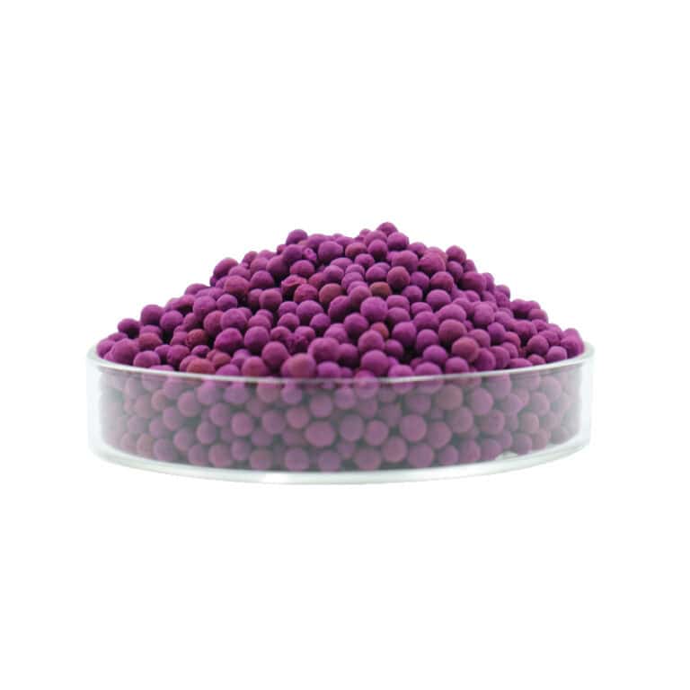Purple pollen grains in a transparent Petri dish, used for air purification and HVAC systems, emphasizing Circul-Aire's innovative air treatment solutions and allergen removal.